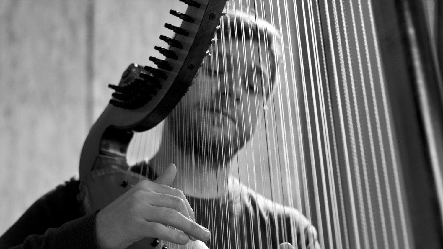 Maximilian Ehrhardt (photo: Jonas Niederstadt)