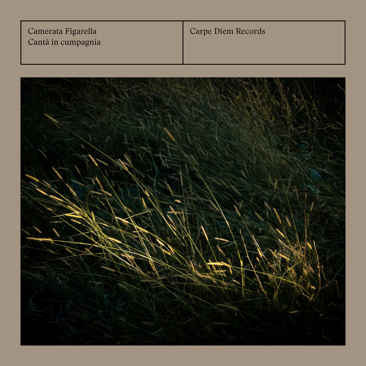 Album cover for 'Cantà in cumpagnia' by Camerata Figarella, featuring a dark photograph of grass illuminated by light at the top, set against a warm taupe background with the text 'Camerata Figarella', 'Cantà in cumpagnia', and 'Carpe Diem Records'.