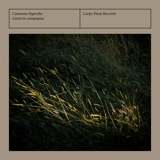 Album cover for 'Cantà in cumpagnia' by Camerata Figarella, featuring a dark photograph of grass illuminated by light at the top, set against a warm taupe background with the text 'Camerata Figarella', 'Cantà in cumpagnia', and 'Carpe Diem Records'.