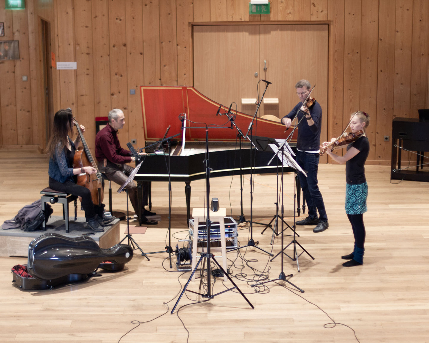 Nadine Henrichs, Hille Perl, Michael Behringer and Peter Barczi playing for the recording sessions of the album "Delicacy". 